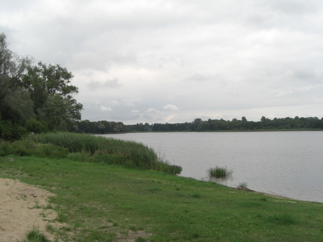 Działka, 7,800 m2, Nętno  (12)