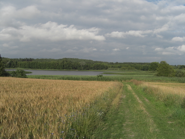 Działka, 7,800 m2, Nętno  (15)