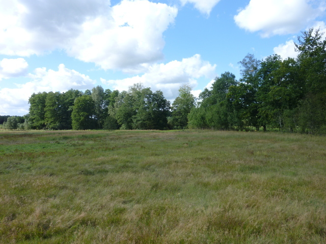 Rolna, 14,000 m2, Grzepnica  (4)