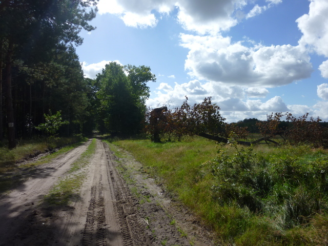 Rolna, 14,000 m2, Grzepnica  (7)