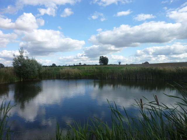 Budowlana, 10,637 m2, Czarnowo  (16)