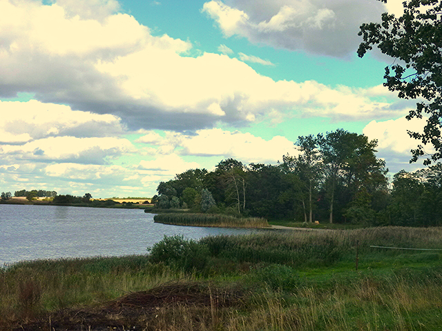 Budowlana, 10,637 m2, Czarnowo  (5)