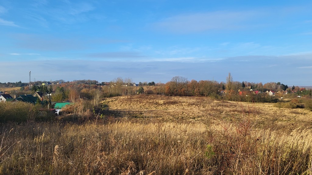 DZIAŁKA pod OSIEDLE DOMÓW JEDNORODZINNYCH (2)