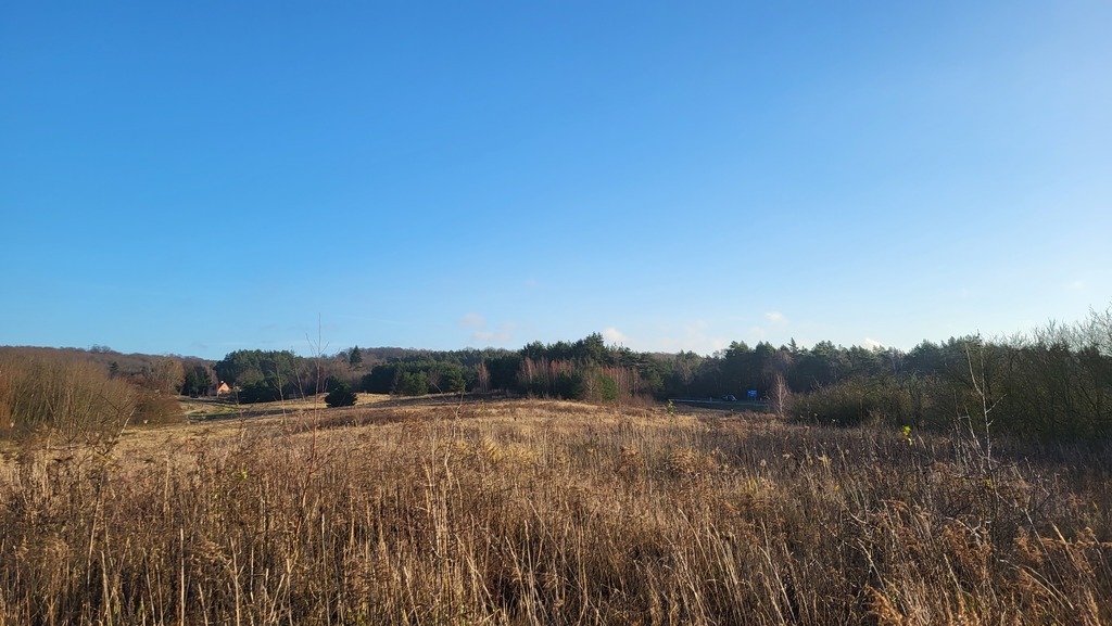 DZIAŁKA pod OSIEDLE DOMÓW JEDNORODZINNYCH (3)
