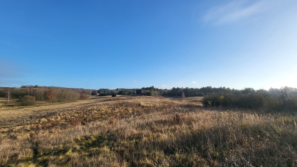 DZIAŁKA pod OSIEDLE DOMÓW JEDNORODZINNYCH (4)