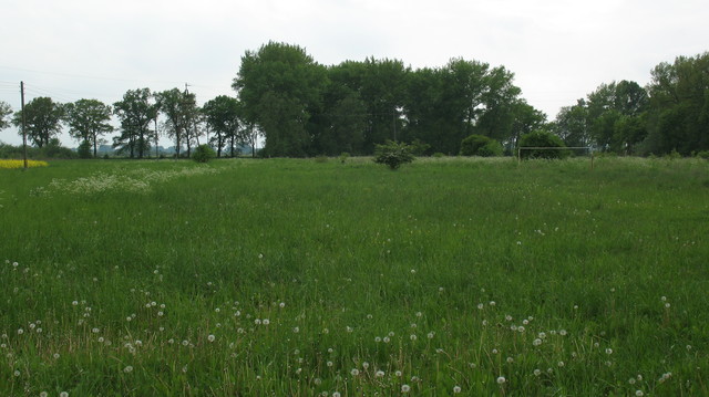 Rekreacyjna, 6,010 m2, Giżyn  (9)