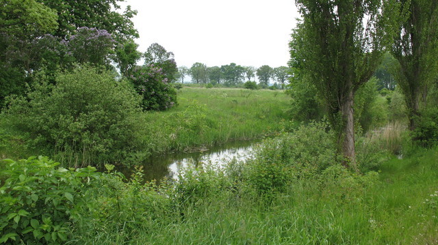 Rekreacyjna, 6,010 m2, Giżyn  (12)