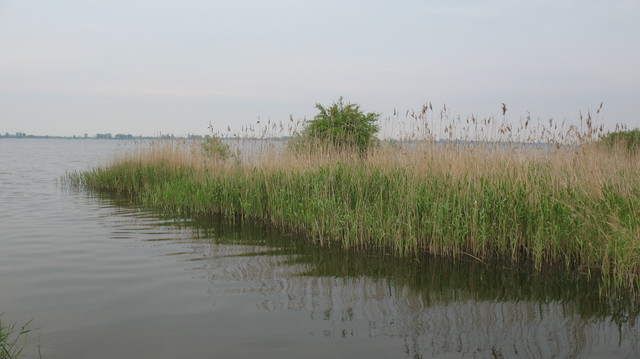 Rekreacyjna, 6,010 m2, Giżyn  (17)