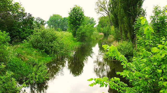 Rekreacyjna, 8,227 m2, Giżyn  (1)