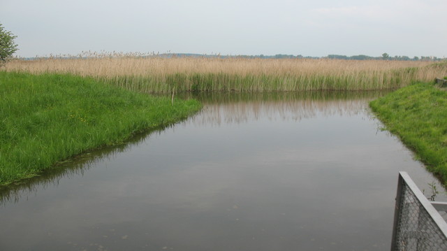 Rekreacyjna, 8,227 m2, Giżyn  (14)