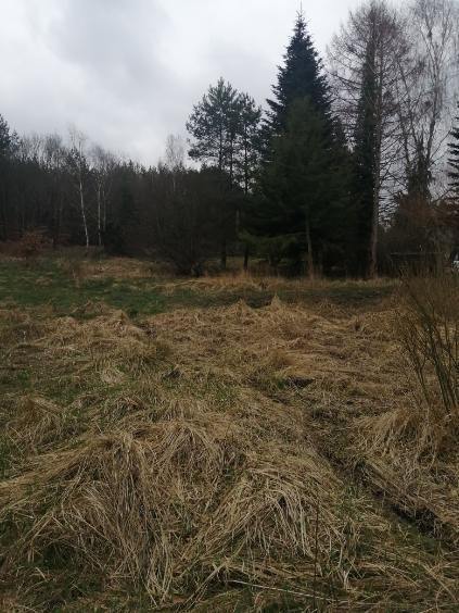 Działka 1100 m2,Stawno,pod lasem (5)