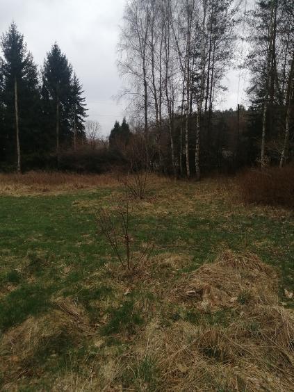 Działka 1100 m2,Stawno,pod lasem (7)