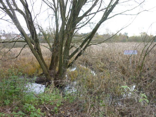 Działka Gumieńce 1.0593 ha (6)