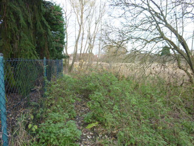 Działka Gumieńce 1.0593 ha (7)