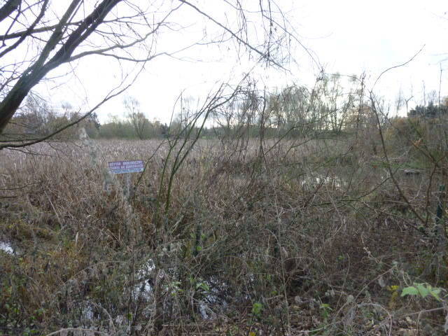 Działka Gumieńce 1.0593 ha (8)