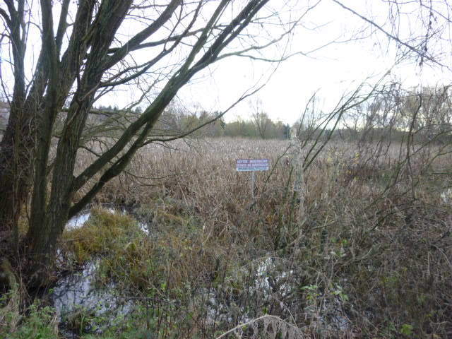 Działka Gumieńce 1.0593 ha (9)