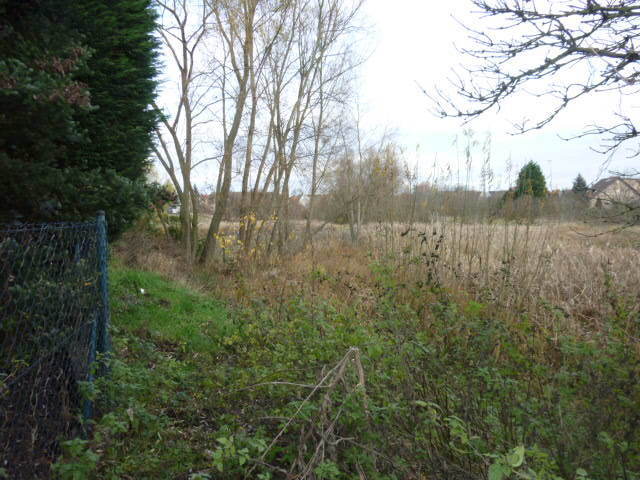 Działka Gumieńce 1.0593 ha (10)