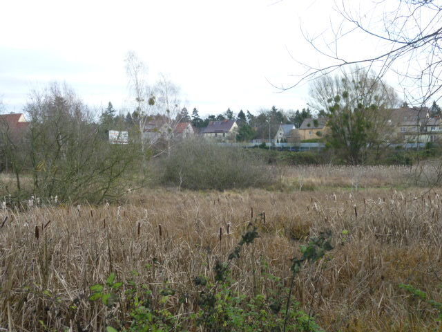 Działka Gumieńce 1.0593 ha (11)