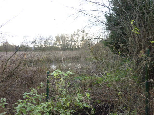 Działka Gumieńce 1.0593 ha (13)