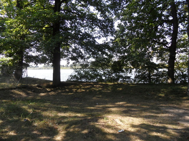 DZIAŁKA  863 M2 W M.DĘBCE GM.GRYFINO (2)