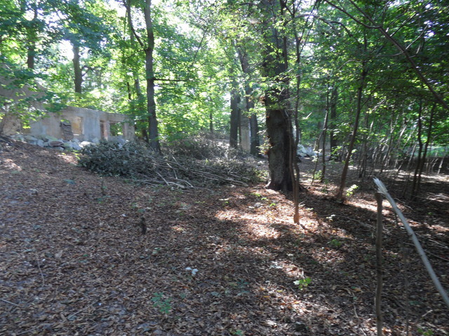 DZIAŁKA  863 M2 W M.DĘBCE GM.GRYFINO (5)