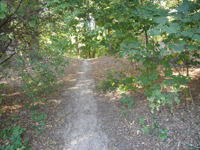 DZIAŁKA  863 M2 W M.DĘBCE GM.GRYFINO (6)