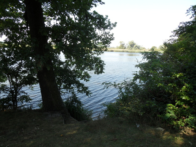 DZIAŁKA  833 M2 W M.DĘBCE GM.GRYFINO (2)