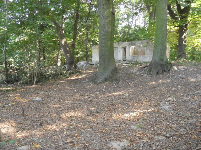 DZIAŁKA  833 M2 W M.DĘBCE GM.GRYFINO (4)