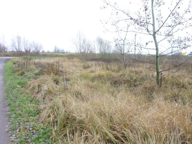 DZIAŁKA 1148 M2,GM.DOBRA (5)