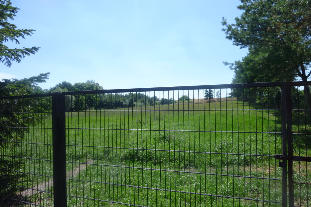 DOM W BĘDARGOWIE,NA DZ.2983 M2,łącznie-1.8815HA. (18)