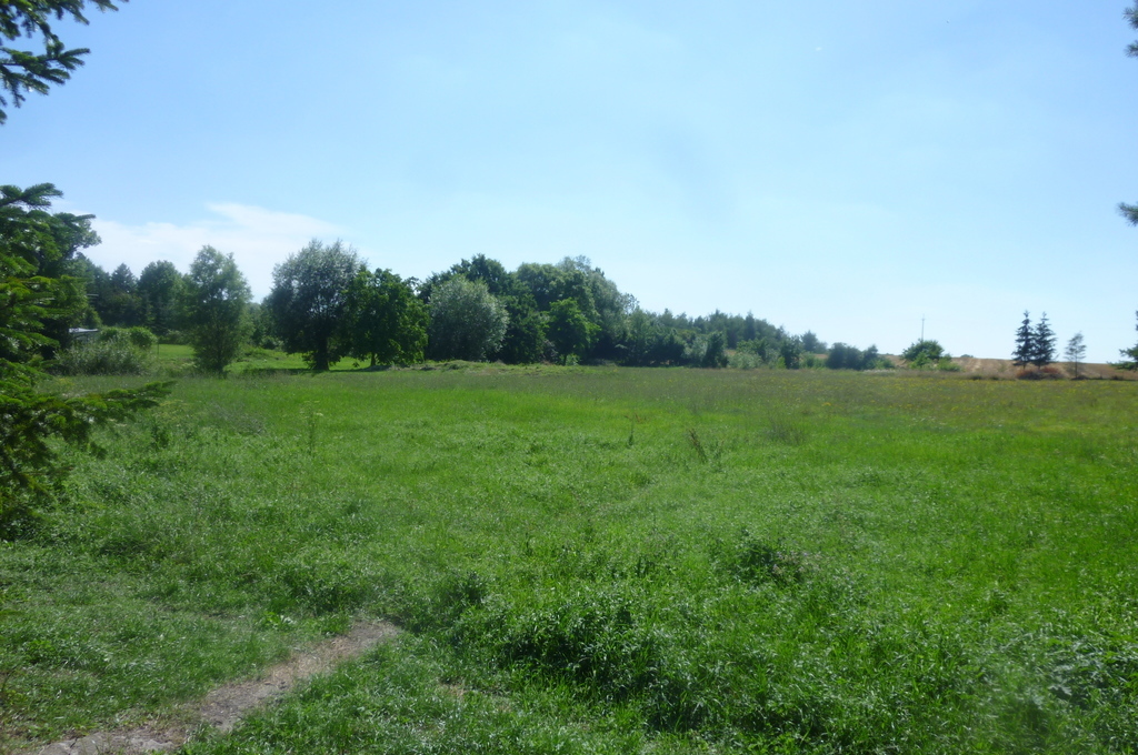 DOM W BĘDARGOWIE,NA DZ.2983 M2,łącznie-1.8815HA. (9)