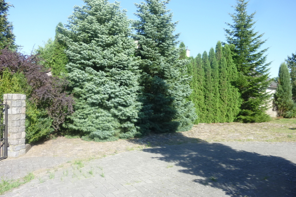 DOM W BĘDARGOWIE,NA DZ.2983 M2,łącznie-1.8815HA. (13)