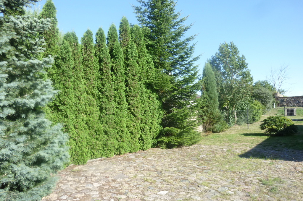 DOM W BĘDARGOWIE,NA DZ.2983 M2,łącznie-1.8815HA. (17)