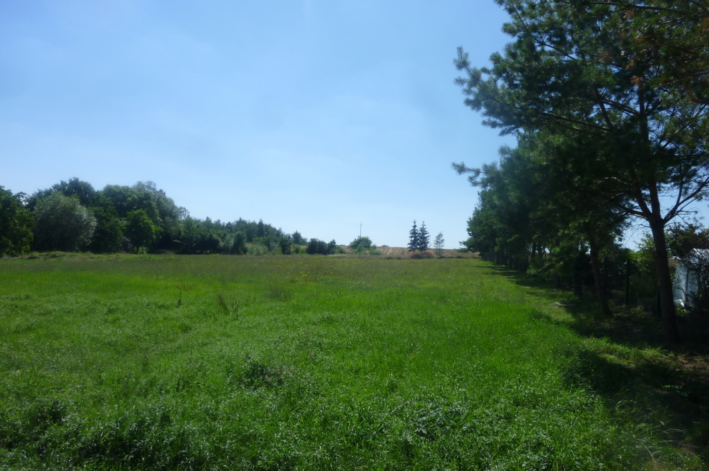 DOM W BĘDARGOWIE,NA DZ.2983 M2,łącznie-1.8815HA. (10)