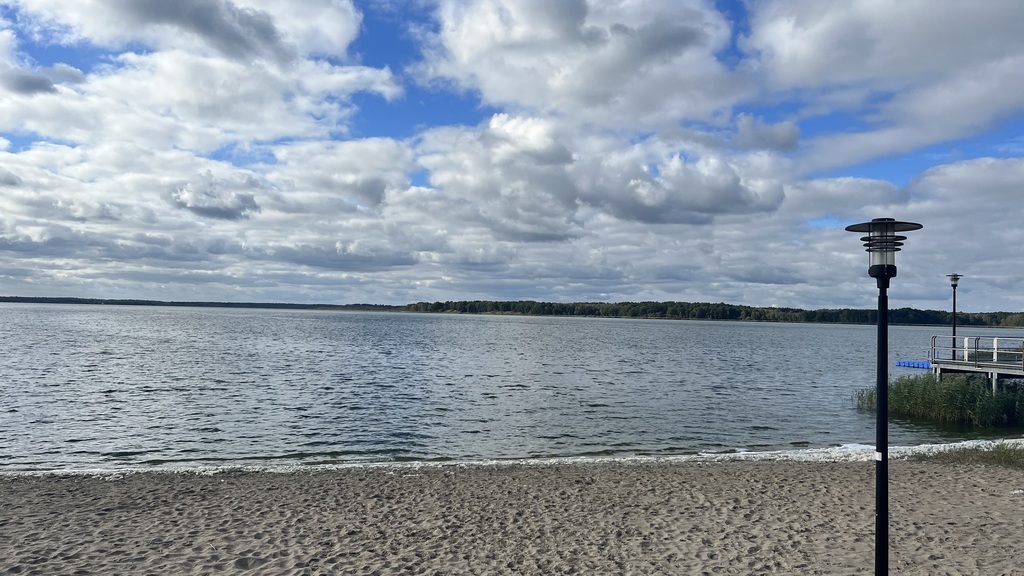 Działka w otulinie Puszczy Wkrzańskiej (1)