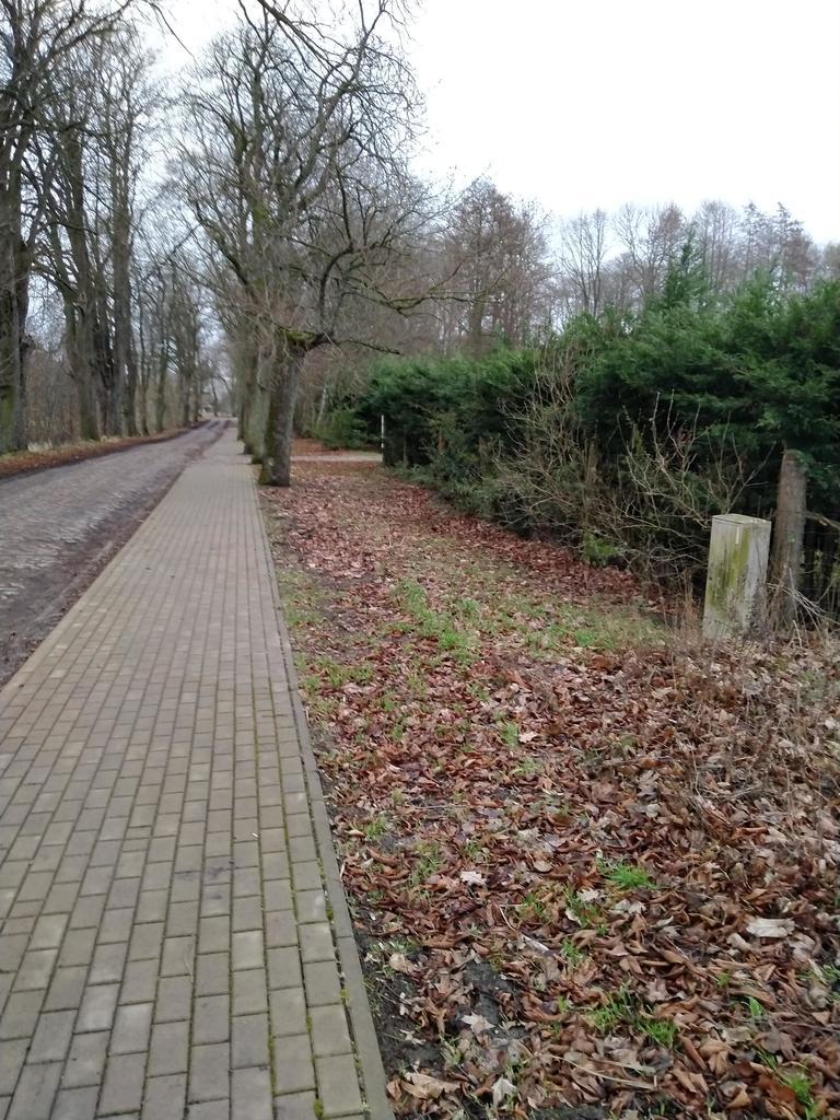 Rzędziny,2041m2,zabuowa jednorodzinna,las,park (9)