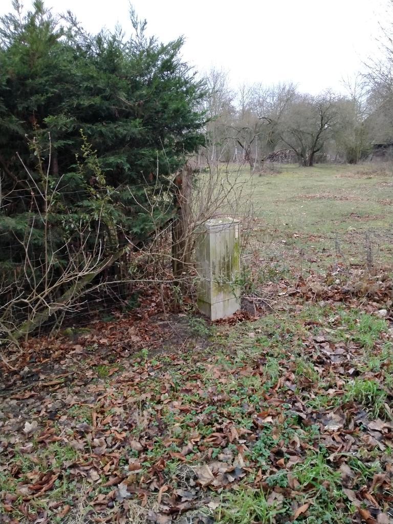 Rzędziny,2041m2,zabuowa jednorodzinna,las,park (10)