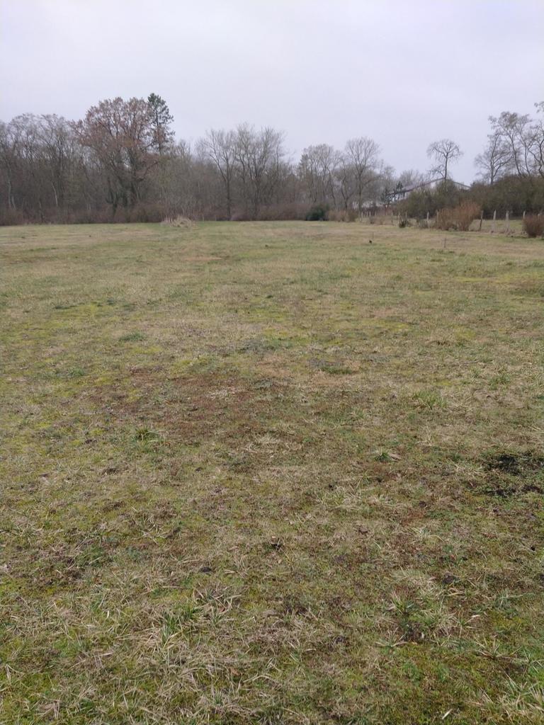 Rzędziny,2041m2,zabuowa jednorodzinna,las,park (11)