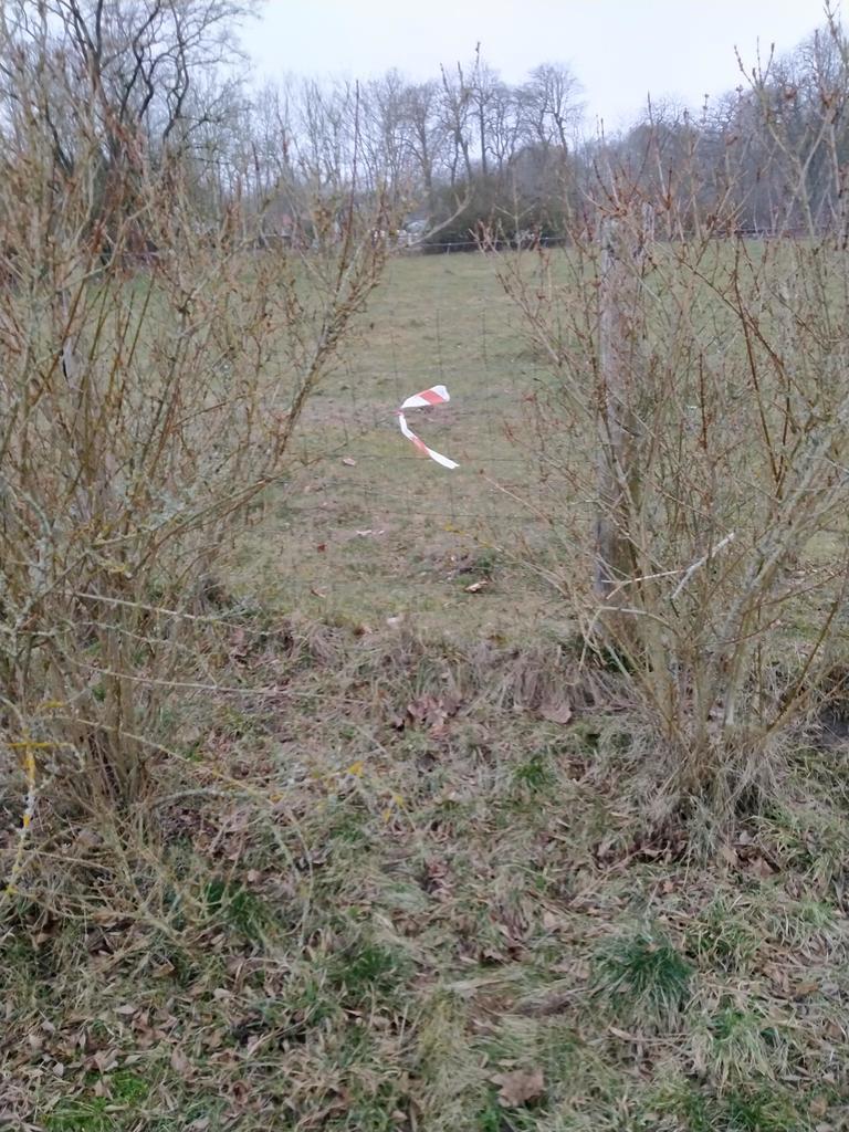 Rzędziny,2041m2,zabuowa jednorodzinna,las,park (12)