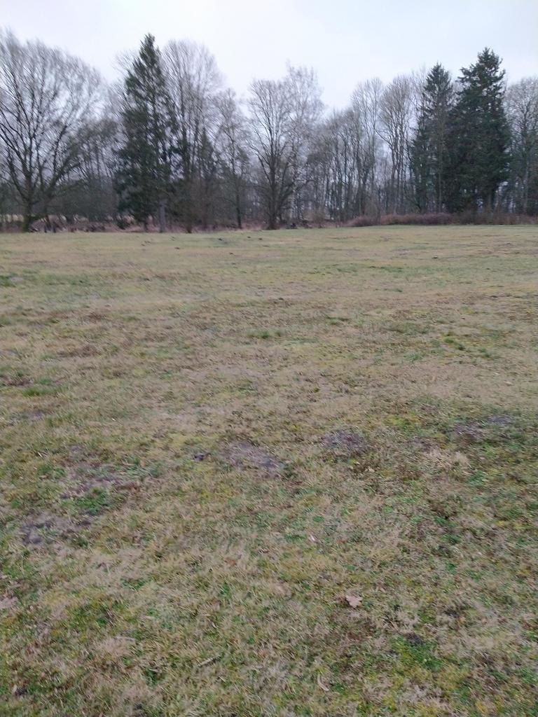 Rzędziny,2041m2,zabuowa jednorodzinna,las,park (13)