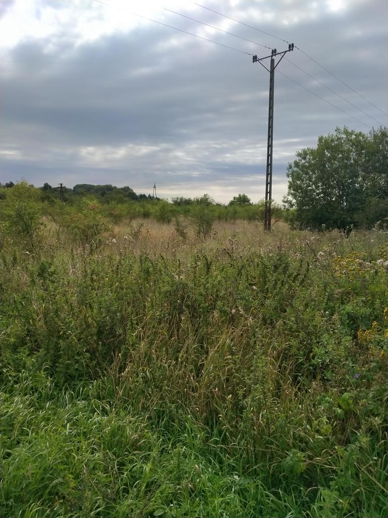 DZIAŁKA PYRZYCE GM. PYRZYCE POW.3001M2. (3)