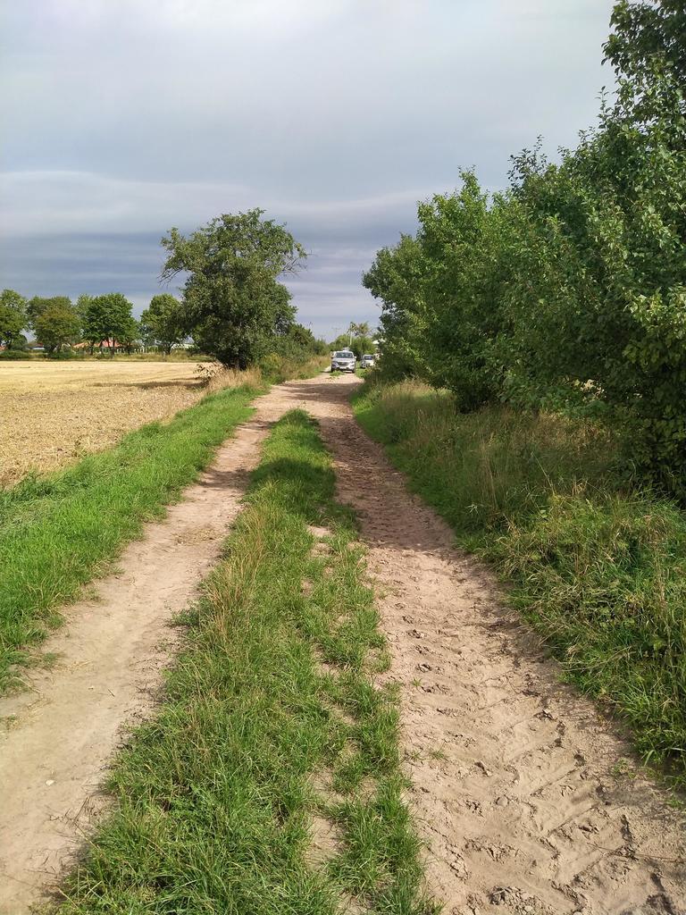 DZIAŁKA PYRZYCE GM. PYRZYCE POW.3001M2. (4)