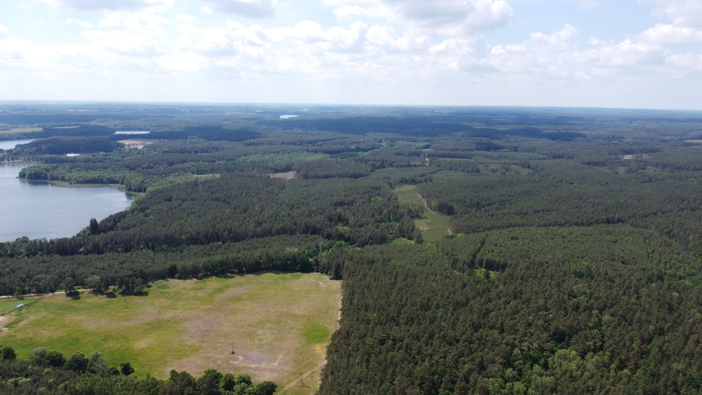 Działka bud.1501m2,obr.Piława,przy J.Łąkie,las. (8)