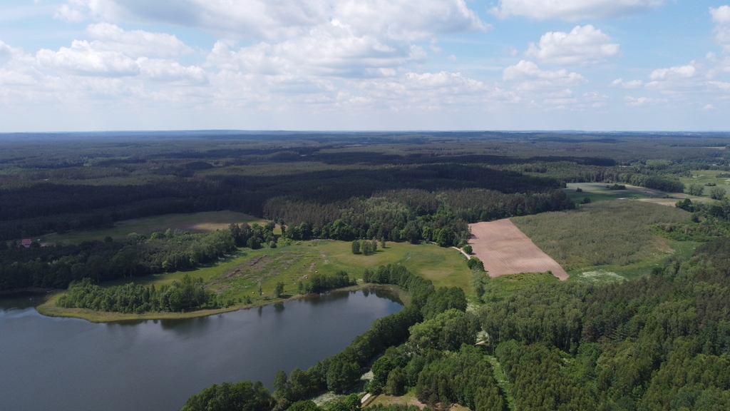 Działka bud.1501m2,obr.Piława,przy J.Łąkie,las. (10)