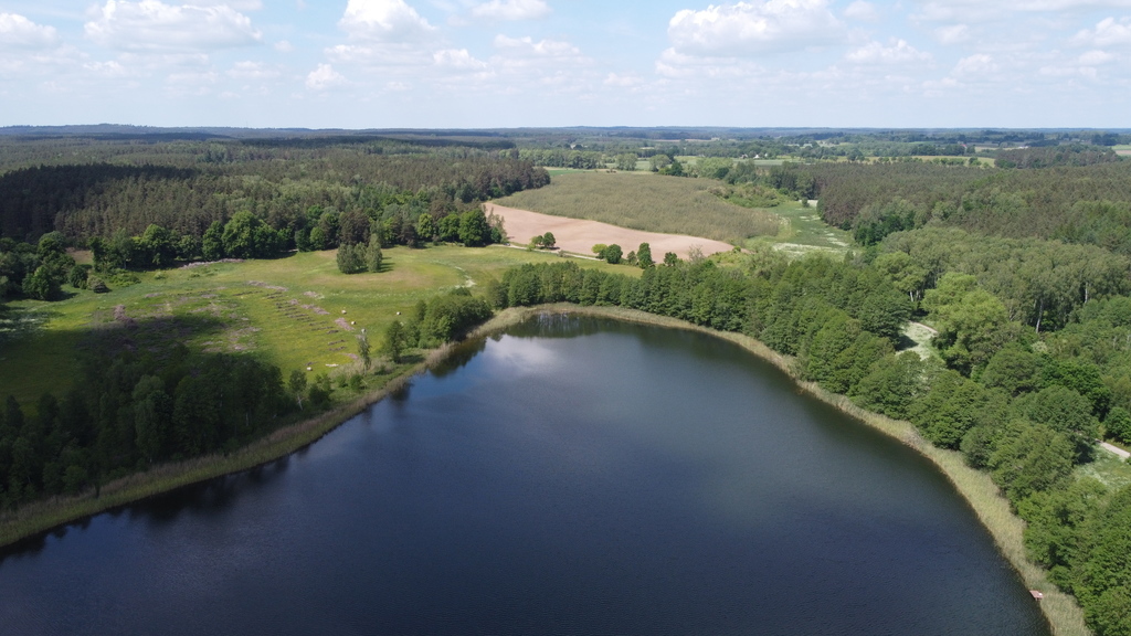 Działka bud.1501m2,obr.Piława,przy J.Łąkie,las. (14)