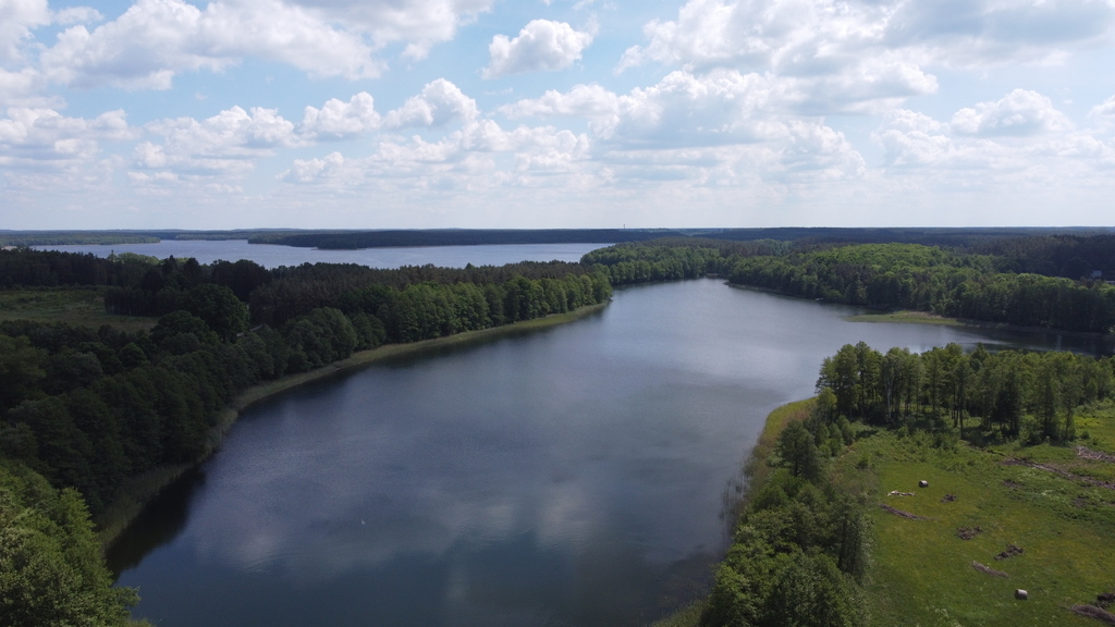Działka bud.1501m2,obr.Piława,przy J.Łąkie,las. (16)