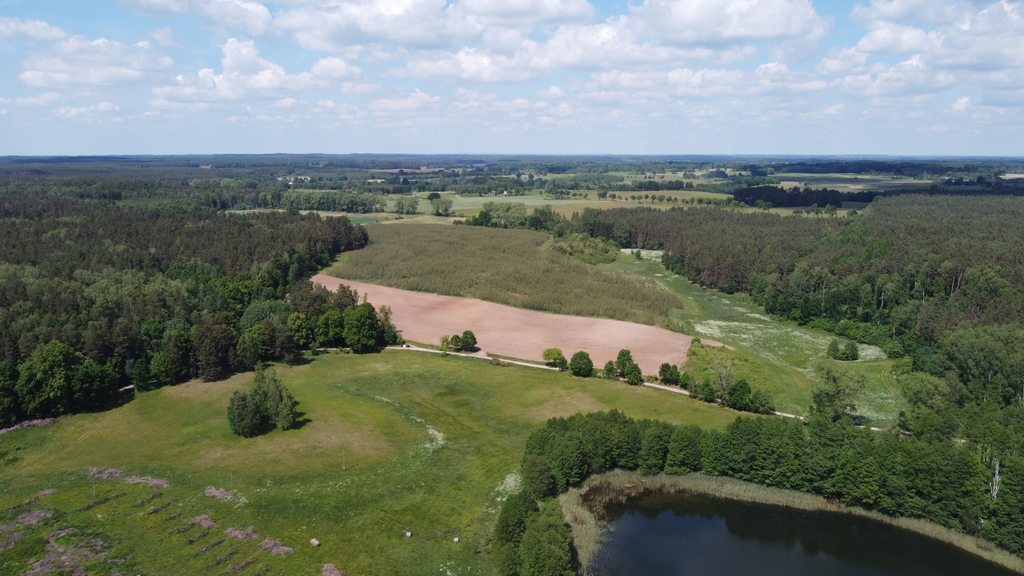 Działka bud.1501m2,obr.Piława,przy J.Łąkie,las. (17)