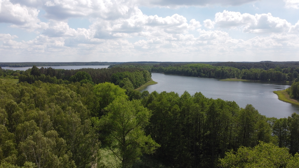 Działka bud.1501m2,obr.Piława,przy J.Łąkie,las. (19)