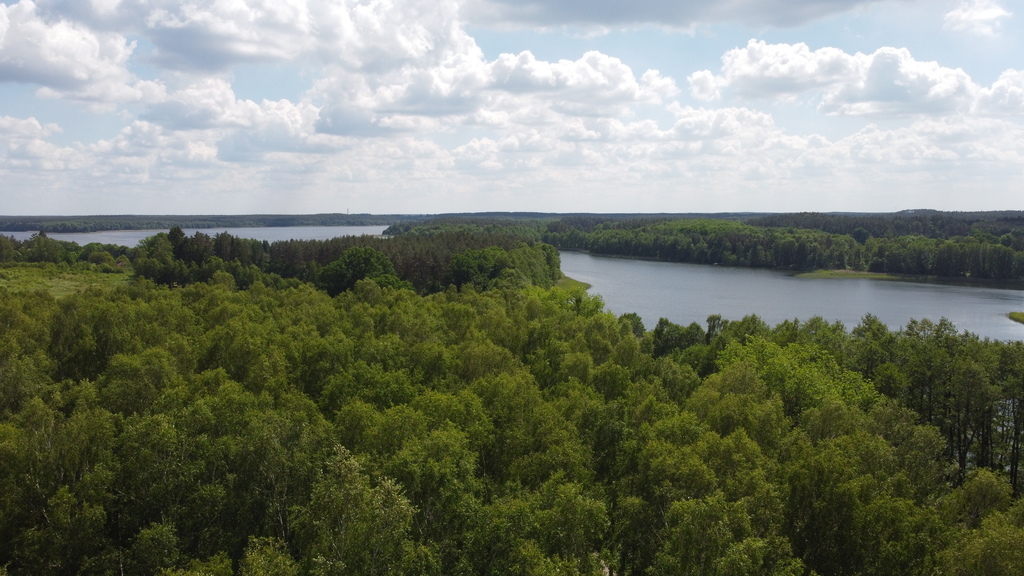Działka bud.1501m2,obr.Piława,przy J.Łąkie,las. (20)