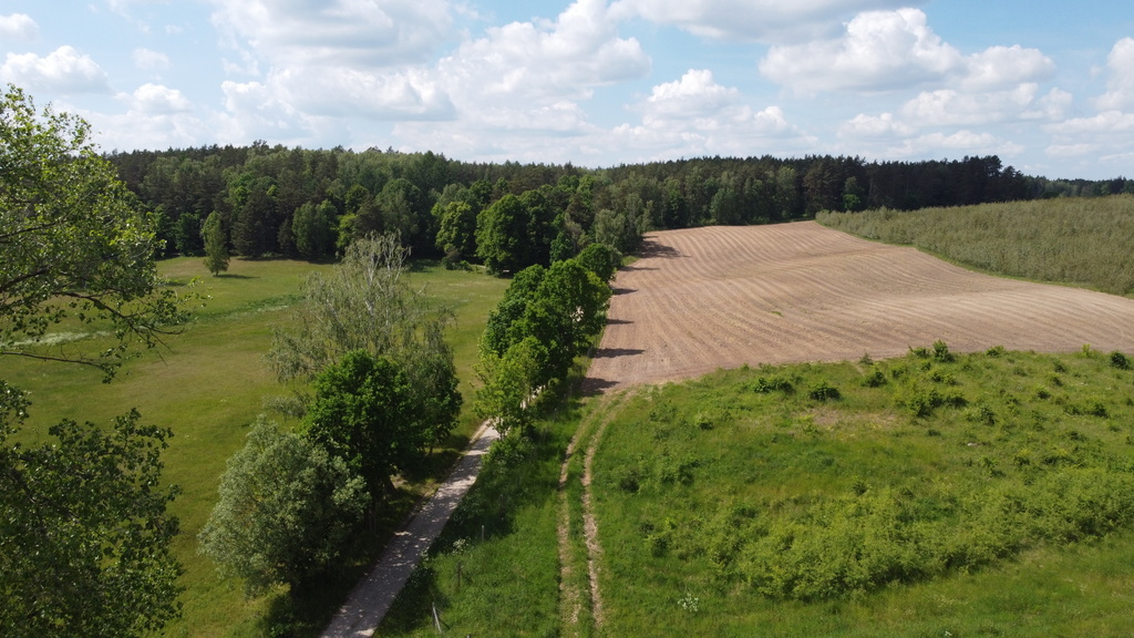 Działka bud.1501m2,obr.Piława,przy J.Łąkie,las. (22)